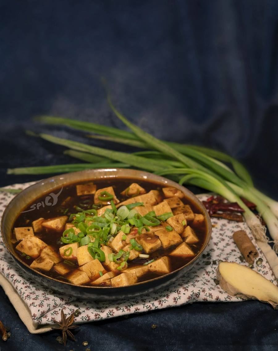 Mapo Tofu in dunkler, scharfer Soße mit Frühlingszwiebeln